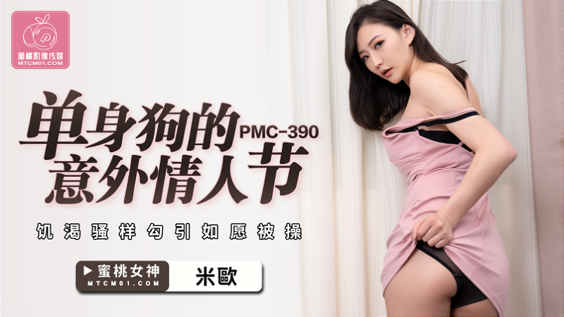 PMC390 단일 개 사고